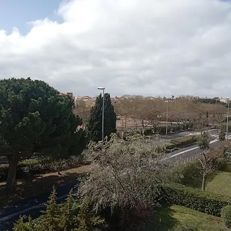 Deniphasco *